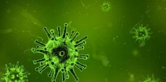 Corona Virus: The student are requested for shifting all exams of Tribhuvan University