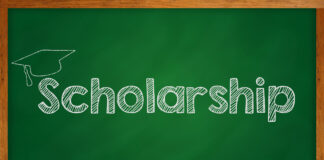 Scholarship Notice for Bachelor Level