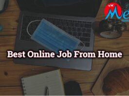 Best Online Job From Home During Lock down or Post Corona infection Era