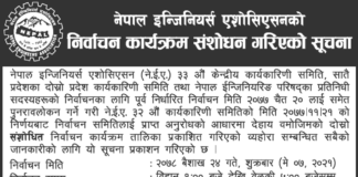NEA Amended Election Program